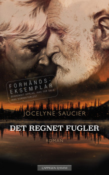 Det regnet fugler av Jocelyne Saucier (Heftet)