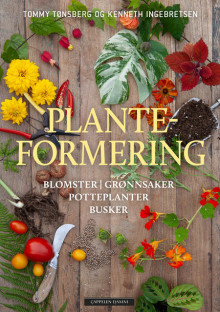 Planteformering av Kenneth Ingebretsen og Tommy Tønsberg (Innbundet)