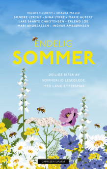 Endelig sommer av Lars Saabye Christensen, Vigdis Hjorth og Sondre Lerche (Innbundet)