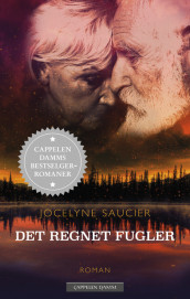 Det regnet fugler av Jocelyne Saucier (Heftet)