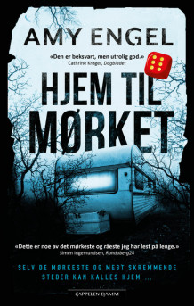 Hjem til mørket av Amy Engel (Ebok)