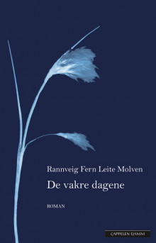 De vakre dagene av Rannveig Fern Leite Molven (Ebok)