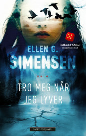 Tro meg når jeg lyver av Ellen Gustavsen (Heftet)