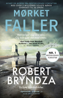 Mørket faller av Robert Bryndza (Ebok)