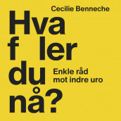 Hva føler du nå? - Enkle råd mot indre uro av Cecilie Benneche (Nedlastbar lydbok)