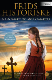 Mannemakt og mørkemakter av Frid Ingulstad (Ebok)