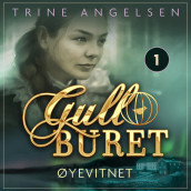 Øyenvitnet av Trine Angelsen (Nedlastbar lydbok)