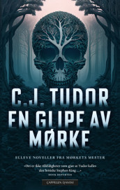 En glipe av mørke av C.J. Tudor (Ebok)