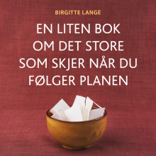 En liten bok om det store som skjer når du følger planen av Birgitte Lange (Nedlastbar lydbok)