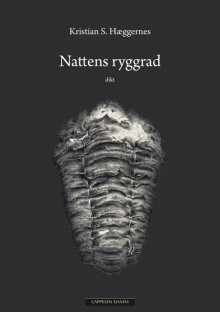 Nattens ryggrad av Kristian S. Hæggernes (Innbundet)