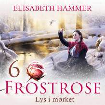 Lys i mørket av Elisabeth Hammer (Nedlastbar lydbok)