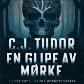 En glipe av mørke av C.J. Tudor (Nedlastbar lydbok)