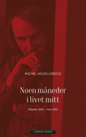 Noen måneder i livet mitt av Michel Houellebecq (Innbundet)