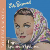 Ingen kjenner skjebnen av Evi Bøgenæs (Nedlastbar lydbok)