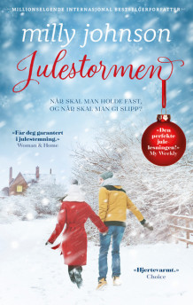 Julestormen av Milly Johnson (Ebok)