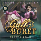 Brått en dag av Trine Angelsen (Nedlastbar lydbok)