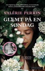 Glemt på en søndag av Valérie Perrin (Ebok)