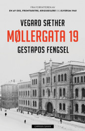 Møllergata 19 av Vegard Sæther (Ebok)