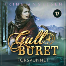 Forsvunnet av Trine Angelsen (Nedlastbar lydbok)