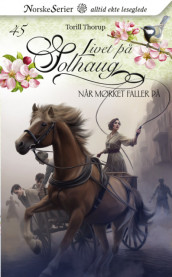 Omslag - Når mørket faller på