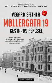Møllergata 19 av Vegard Sæther (Heftet)