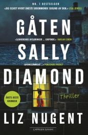 Gåten Sally Diamond av Liz Nugent (Ebok)