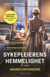 Sykepleierens hemmelighet av Amanda Skenandore (Ebok)