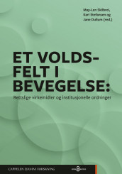 Et voldsfelt i bevegelse av Jane Dullum, May-Len Skilbrei og Kari Stefansen (Heftet)