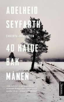 40 kalde bak månen av Adelheid Seyfarth (Ebok)