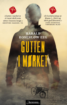 Gutten i mørket av Harald Rosenløw Eeg (Ebok)