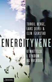 Energityvene av Torkil Berge, Lars Dehli og Elin Fjerstad (Innbundet)