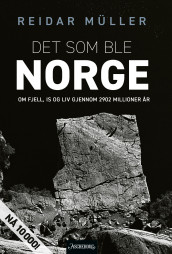 Det som ble Norge av Reidar Müller (Heftet)