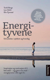 Energityvene av Torkil Berge, Lars Dehli og Elin Fjerstad (Heftet)