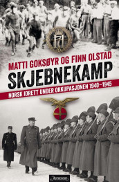 Skjebnekamp av Matti Goksøyr og Finn Olstad (Ebok)