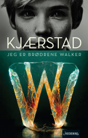 Jeg er brødrene Walker av Jan Kjærstad (Ebok)