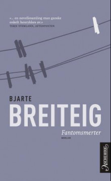 Fantomsmerter av Bjarte Breiteig (Heftet)
