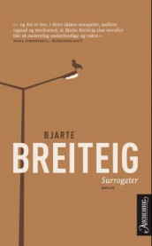 Surrogater av Bjarte Breiteig (Heftet)