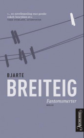 Fantomsmerter av Bjarte Breiteig (Ebok)