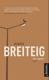 Surrogater av Bjarte Breiteig (Ebok)