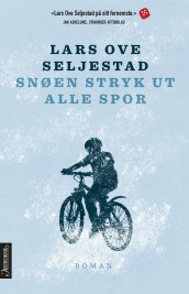 Snøen stryk ut alle spor av Lars Ove Seljestad (Ebok)