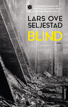 Blind av Lars Ove Seljestad (Heftet)
