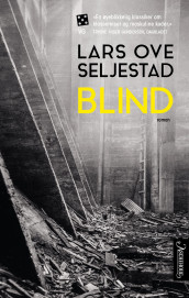 Blind av Lars Ove Seljestad (Ebok)