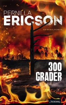 300 grader av Pernilla Ericson (Heftet)