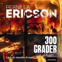 300 grader av Pernilla Ericson (Nedlastbar lydbok)