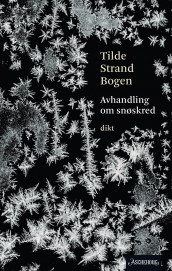 Avhandling om snøskred av Tilde Strand Bogen (Ebok)
