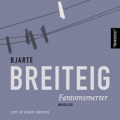 Fantomsmerter av Bjarte Breiteig (Nedlastbar lydbok)