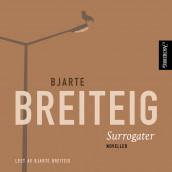 Surrogater av Bjarte Breiteig (Nedlastbar lydbok)