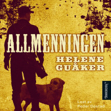 Allmenningen av Helene Guåker (Nedlastbar lydbok)