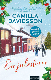 En julestorm av Camilla Davidsson (Ebok)