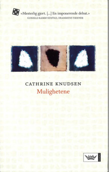 Mulighetene av Cathrine Knudsen (Heftet)